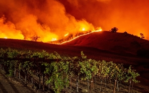 CDE Wildfire Updates and School Resources