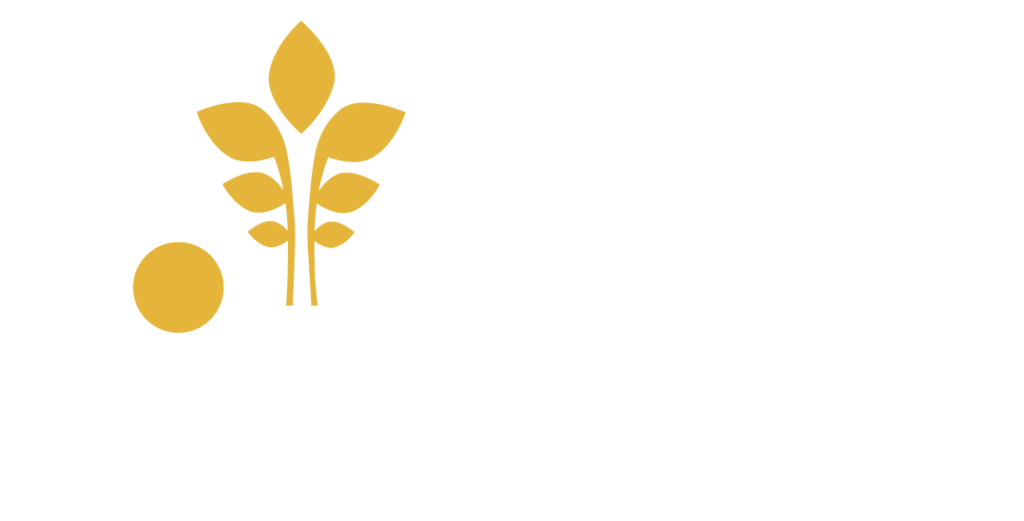 Santa Rosa district 